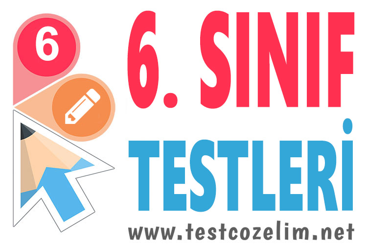 6. Sınıf Testleri | TestÇözelim.net